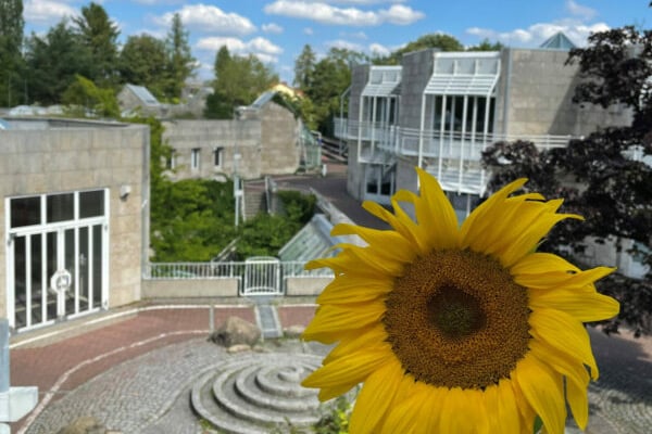 Montessorischule-aktion-sonnenschein